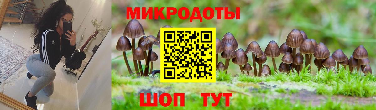 Галлюциногенные грибы ЛСД  Галлюциногенные грибы Psilocybe  Северодвинск  Вход с VPN 
